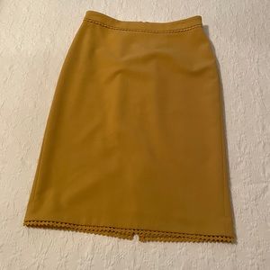 Anne Taylor skirt